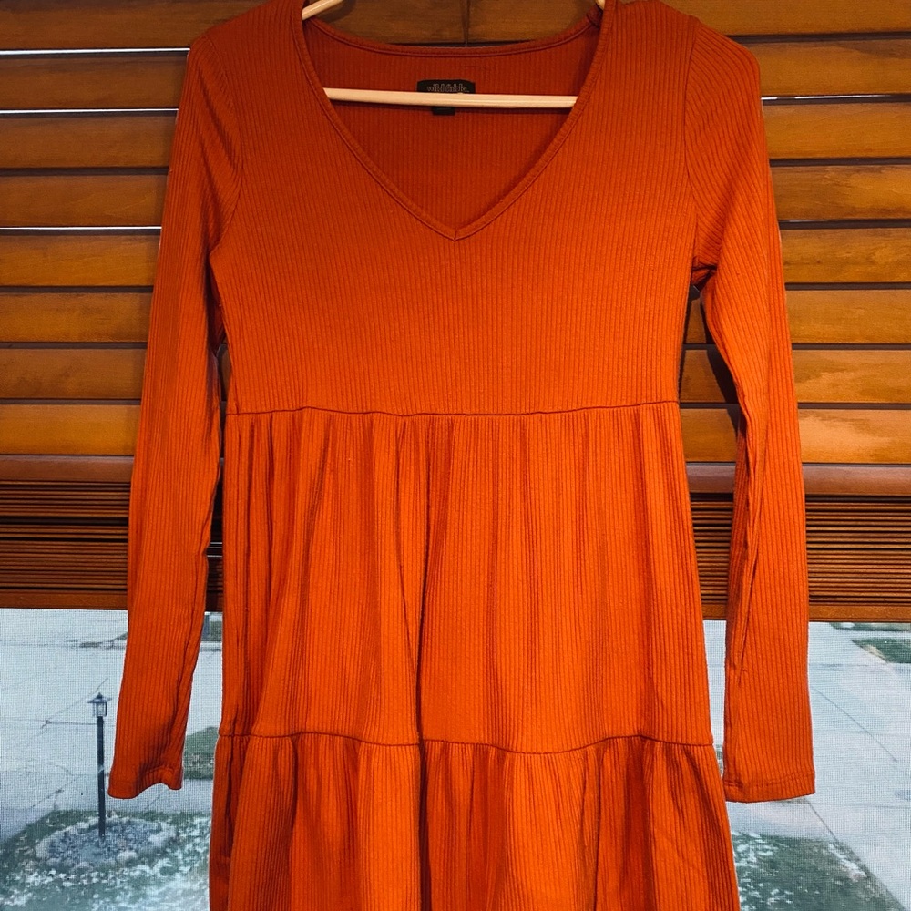 Wild Fable dress